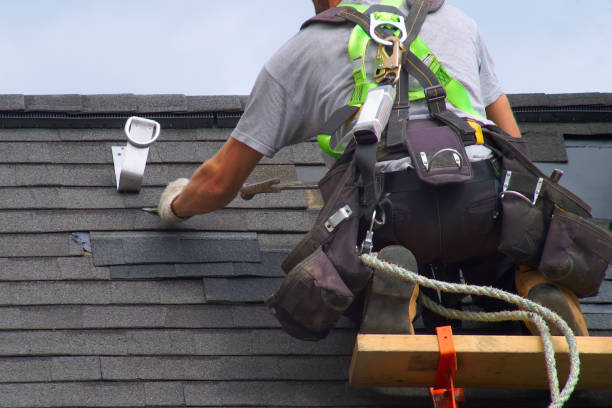 Best Roof Gutter Cleaning  in Lake Royale, NC