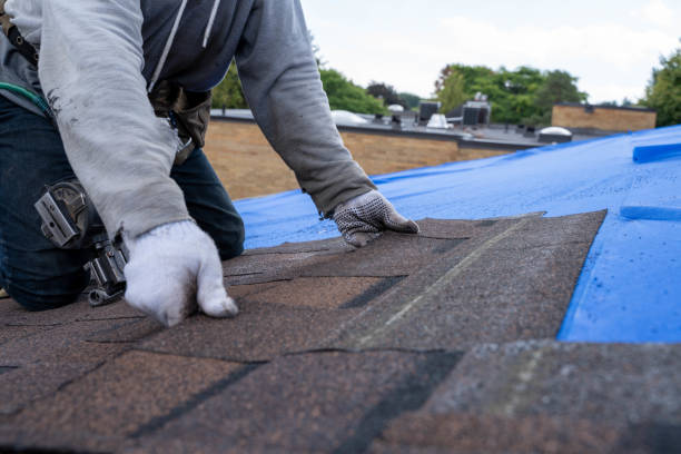 Best Residential Roofing Contractor  in Lake Royale, NC