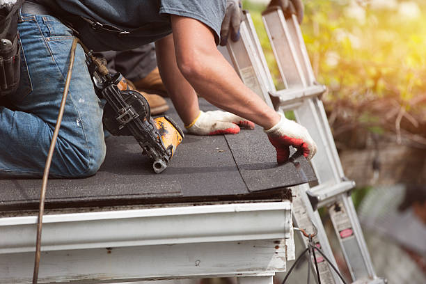 Best Roof Maintenance Services  in Lake Royale, NC